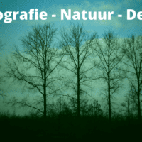 Fotografie – Natuur – Deel 1