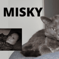 Misky
