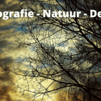 Fotografie – Natuur – Deel 2