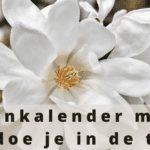 EvenDelen.be Tuinkalender Mei