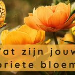 EvenDelen.be Wat zijn jouw favoriete bloemen?