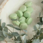 Eucalyptus takken