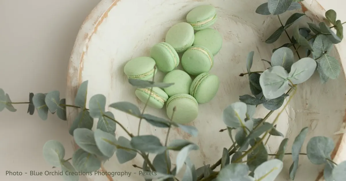 Kun je eucalyptus stekken? Mijn experiment (en waarom het meestal mislukt)