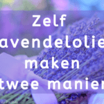 EvenDelen.be Zelf lavendelolie maken op twee manieren.