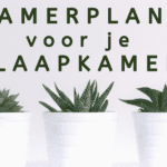 EvenDelen.Be 7 kamerplanten voor je slaapkamer