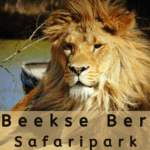 EvenDelen.be De Beekse Bergen