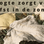 EvenDelen.be Droogte zorgt voor herfst in de zomer.