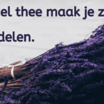 EvenDelen.be Lavendel thee maak je zo & voordelen