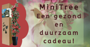 EvenDelen.be MiniTree