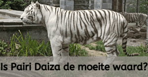 Is Pairi Daiza de moeite waard?