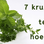 EvenDelen.be 7 kruiden tegen hoesten