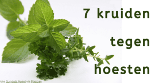 7 kruiden tegen hoesten. 7 kruiden tegen hoesten.