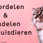 EvenDelen.be Huisdieren voordelen nadelen