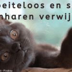 EvenDelen.be Moeiteloos en snel kattenharen verwijderen.