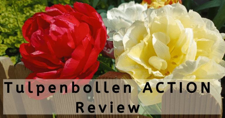 EvenDelen.be Tulpenbollen Action review