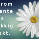 EvenDelen.be Waarom de lente ons gelukkig maakt