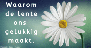 EvenDelen.be Waarom de lente ons gelukkig maakt