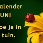 EvenDelen.be Tuinkalender JUNI. Dit doe je in de tuin.