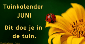 Tuinkalender juni.  Dit doe je in de tuin.