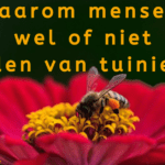 EvenDelen.be Waarom mensen wel of niet houden van tuinieren.