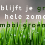 EvenDelen.be Zo blijft je gras de hele zomer mooi groen