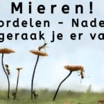 EvenDelen.Be Mieren Voordelen - Nadelen Hoe geraak je er van af