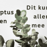EvenDelen.be Eucalyptus takken, dit kun je er allemaal mee doen