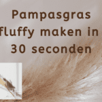 EvenDelen.be Pampasgras fluffy maken in 30 seconden