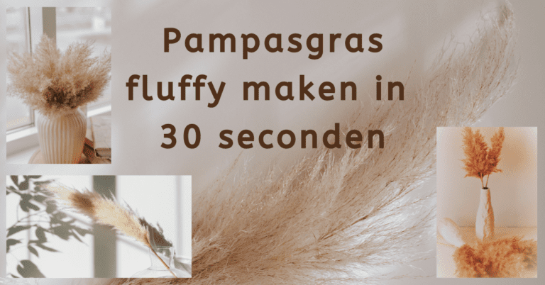 EvenDelen.be Pampasgras fluffy maken in 30 seconden