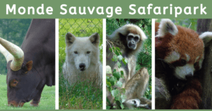 EvenDelen.be Monde Sauvage Safaripark