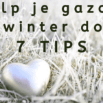 EvenDelen.be Help je gazon de winter door 7 TIPS