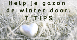 Help je gazon de winter door – 7 TIPS