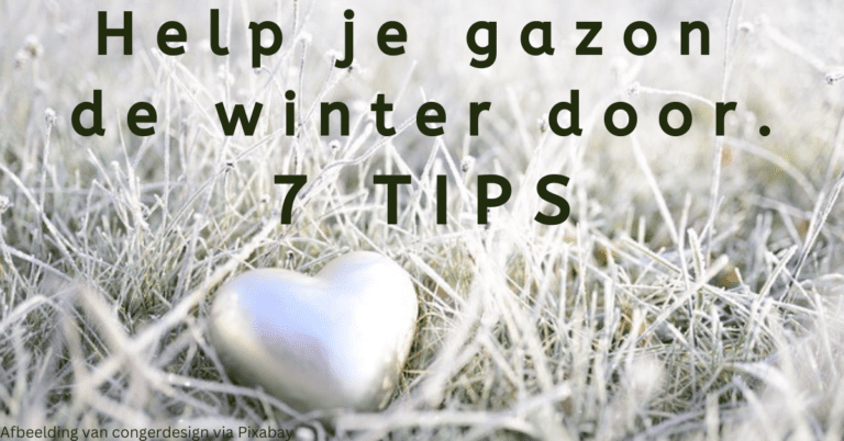 EvenDelen.be Help je gazon de winter door 7 TIPS