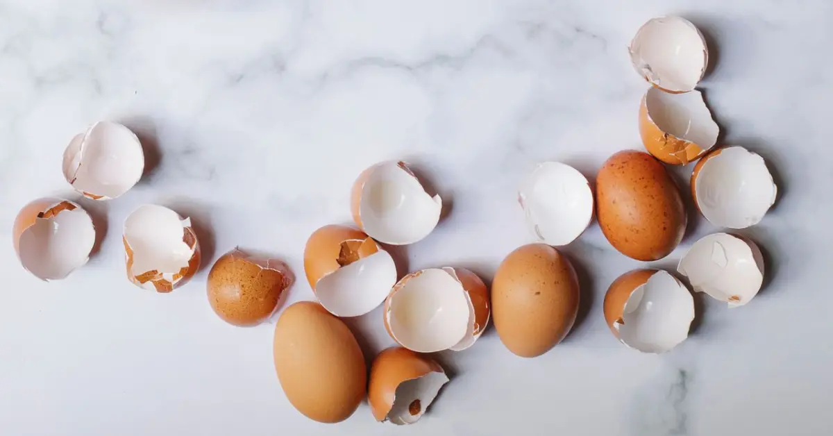 Wat te doen met eierschalen? 10 slimme manieren om ze te hergebruiken!