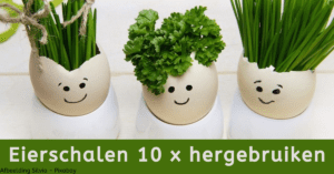 Eierschalen 10 x hergebruiken.