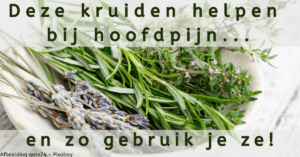 EvenDelen.be Kruiden hoofdpijn en gebruik