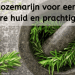 EvenDelen.be Rozemarijn voor een gezondere huid en prachtige haren.