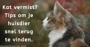 EvenDelen.be Kat vermist Tips