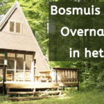 EvenDelen.be Bosmuis Durbuy