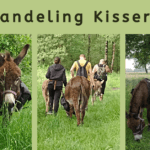 EvenDelen.be Ezelwandeling Kisserweide