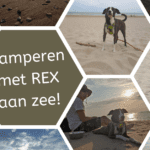 EvenDelen.be Kamperen met REX aan zee
