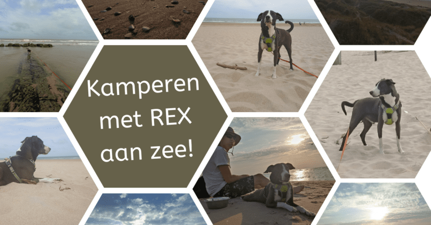 EvenDelen.be Kamperen met REX aan zee