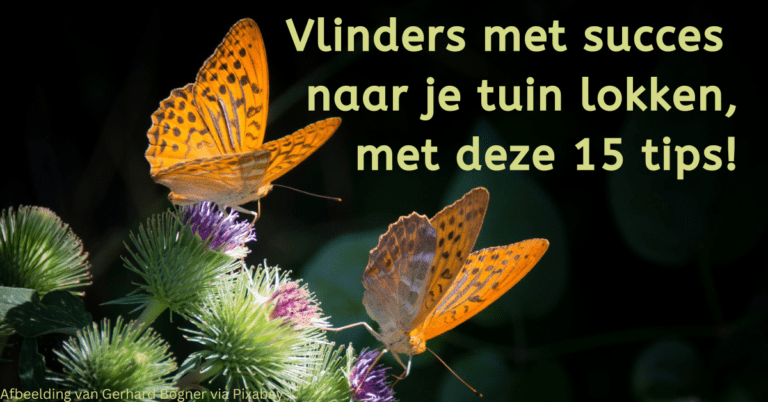 EvenDelen.be Vlinders lokken