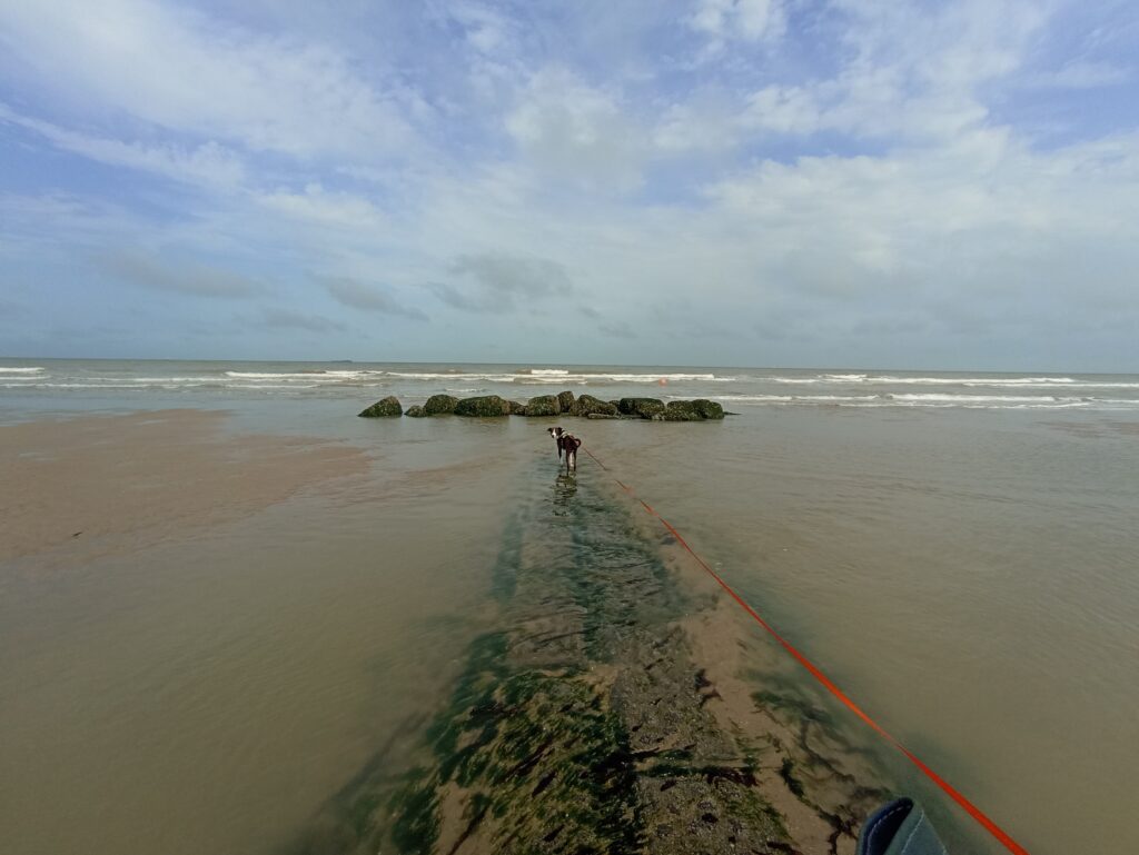 EvenDelen.be Kamperen aan zee