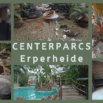 EvenDelen.be Centerparcs Erperheide Review