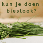 EvenDelen.be Bieslook gebruiken