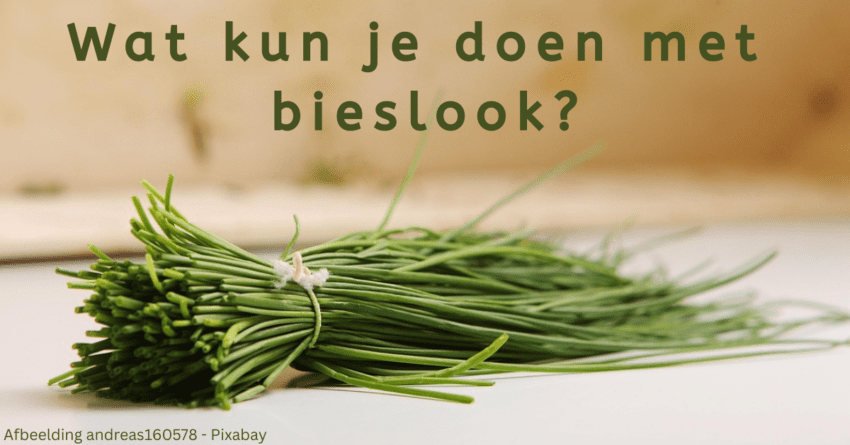 EvenDelen.be Bieslook gebruiken