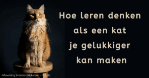 EvenDelen.be Denken als een kat