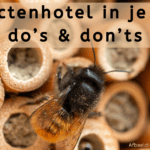 EvenDelen.be Insectenhotel