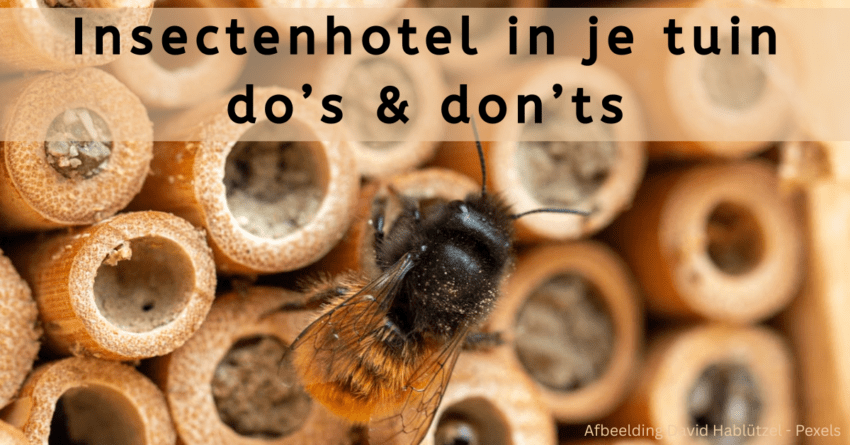 EvenDelen.be Insectenhotel